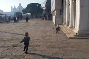 Chasing Pigeons in San Marco