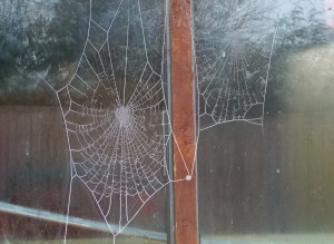 It's very cold here today but also very beautiful