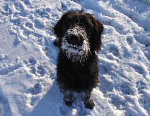 Snow Monster - Kara loves the snow