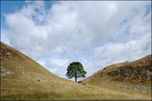 Hadrian's Wall - Sycamore Gap - photo by Xavier de Jauréguiberry on Flickr