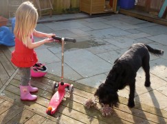 Spring Cleaning: Scooter washing