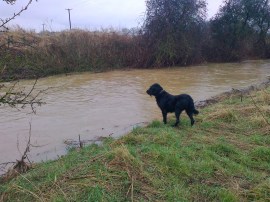 Don't think I fancy the river today Mummy