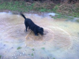 Blurry Action Shot: Even Kara loves jumping in muddy puddles