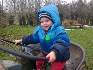 "Driving to see the Pigs"