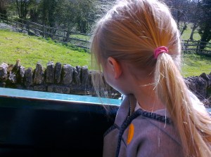 On the Tractor Ride