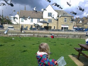 Feeding the Birds (not Ducks)