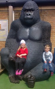 Amazing what you find in a Garden Centre