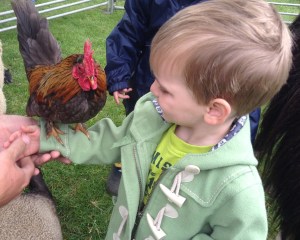 Meeting Charlie the cockerel at a Kid's Birthday Party