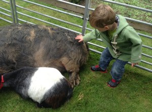 Meeting Esme and Pig