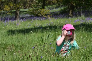 Holiday snaps that tell a story