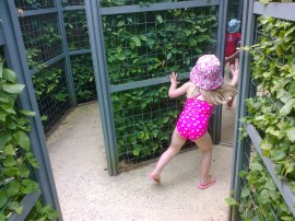 Running through the Mirror Maze