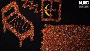 The Time You Have (In JellyBeans)