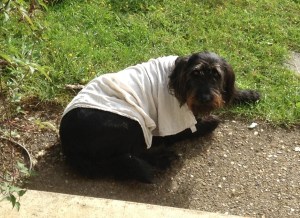 Sometimes I want to hide under a blanket