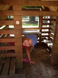 Hiding from the sun at Belton House