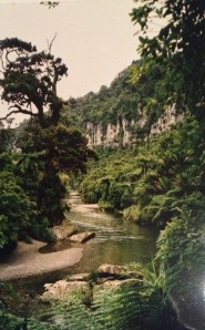 The Inland Pack Track