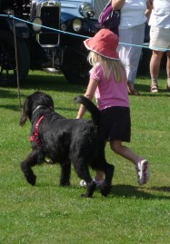 Our Young Handler, 4th place