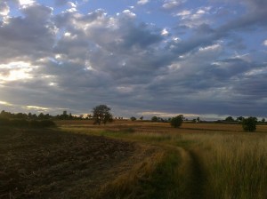 Gorgeous summer evening