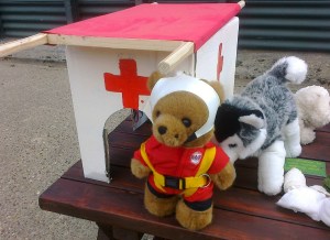 Medi-ted in case of injuries