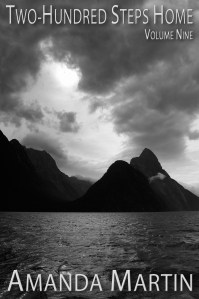 A nice moody monochrome cover seemed right for Volume 9