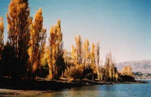 Autumn colours at Wanaka