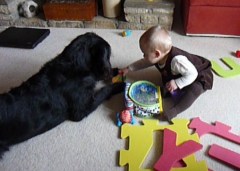 The toy goes here, Kara