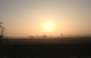 Up at sunrise to write today