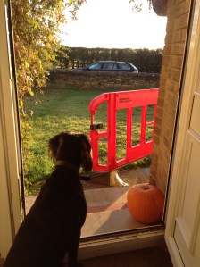 Watching the sun rise