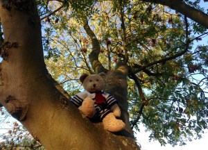 Spencer Bear's photo shoot