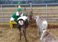 Reindeer and elves