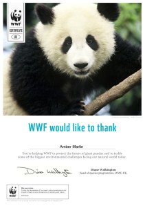 Trying to make a difference