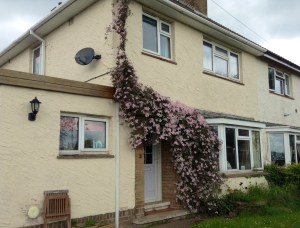 Dear delivery driver