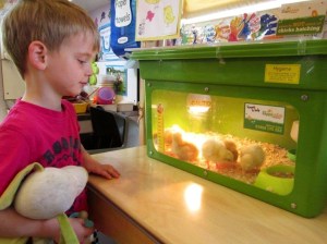 Back at Nursery Today