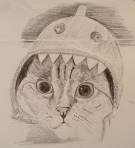 Cat in a shark hat