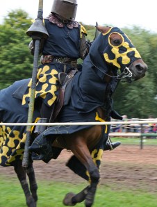 Jousting Dark Knight