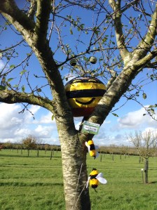 Pumpkin Trail at Lyveden New Bield