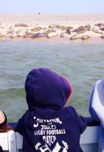 11062065_10153457264697211_4513689909950634333_n