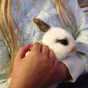 13301533_10154090828867211_5773406292240803843_o