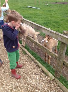 13320960_10154090828477211_6601950749530149263_o