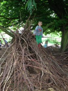 13340272_10154090828687211_2812757445867148210_o