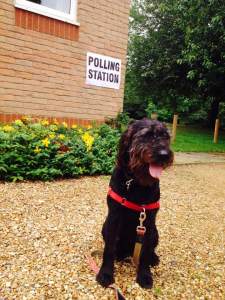 13501703_10154143117362211_947500411181692802_n